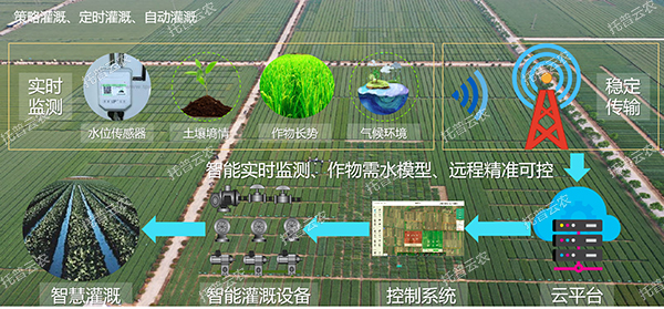 智能灌溉系統(tǒng)——需水灌溉