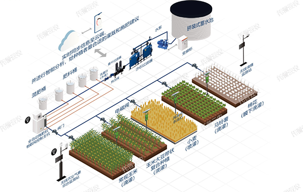 智能水肥一體化灌溉系統(tǒng)